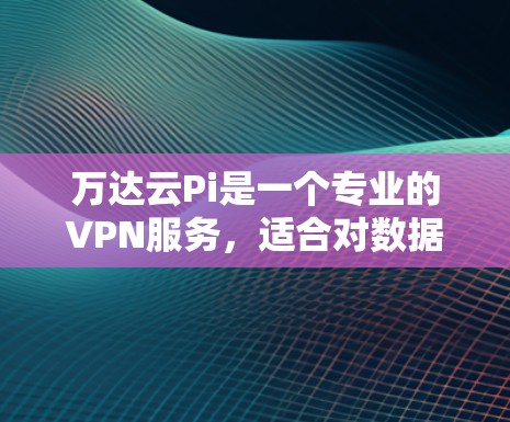 万达云Pi是一个专业的VPN服务，适合对数据安全和隐私保护有较高要求的用户。以下是一些关于万达云Pi的详细信息