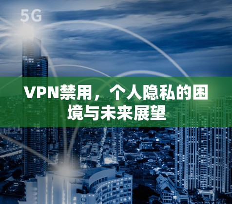 VPN禁用，个人隐私的困境与未来展望