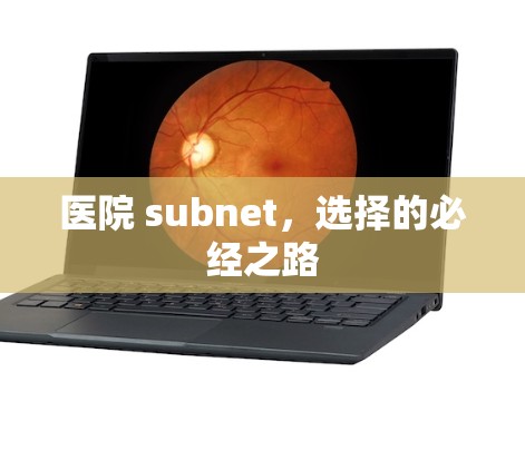 医院 subnet，选择的必经之路