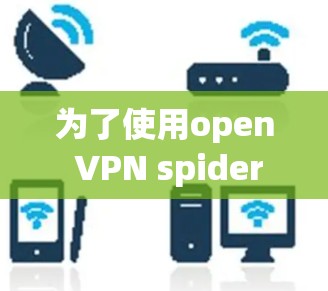 为了使用open VPN spider连接到一个VPN服务器，您可以按照以下步骤进行