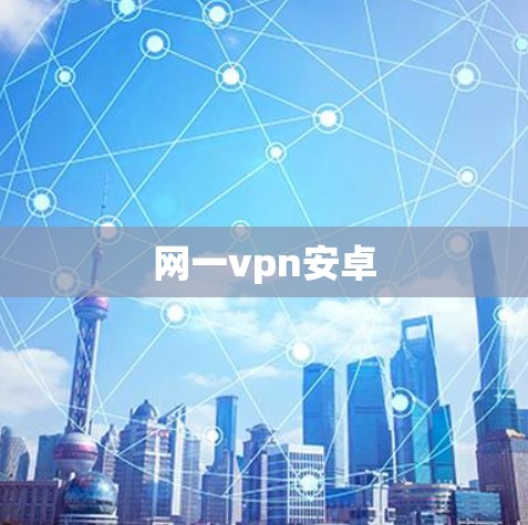 网一vpn安卓 网一vpn安卓