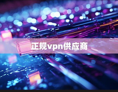 正规vpn供应商