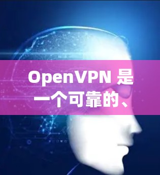 OpenVPN 是一个可靠的、安全的、远程身份验证（RIV）工具，允许您通过一个开放连接连接到远程服务器，从而访问远程服务器。以下是关于 OpenVPN 的一些关键信息