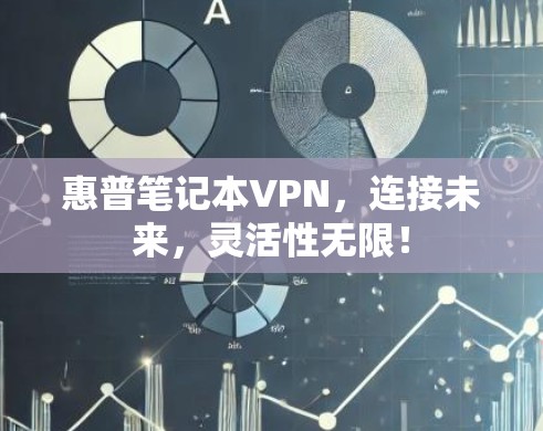 惠普笔记本VPN，连接未来，灵活性无限！