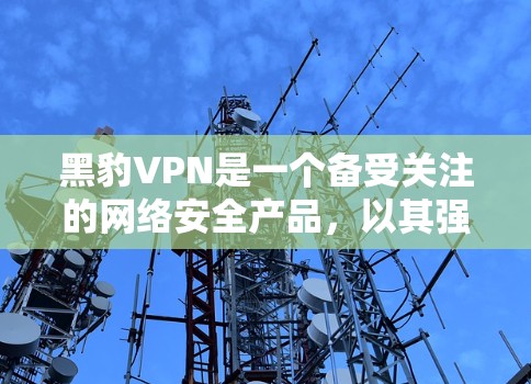 黑豹VPN是一个备受关注的网络安全产品，以其强大的安全性、友好界面和高效的性能而著称。以下是对黑豹VPN的详细分析和评价