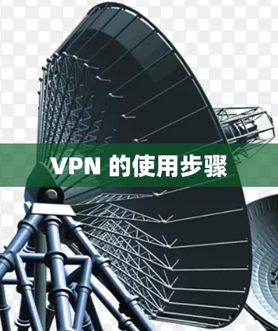 VPN 的使用步骤