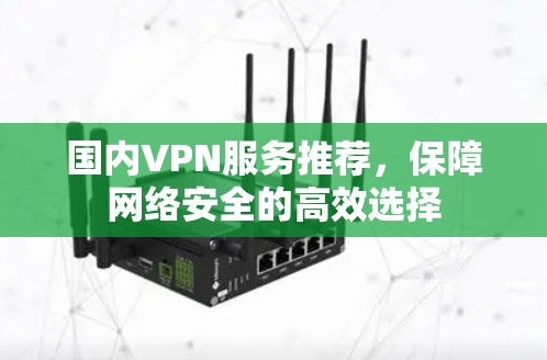 国内VPN服务推荐，保障网络安全的高效选择