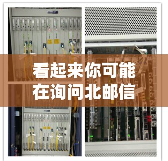 看起来你可能在询问北邮信息门户VPN这个查询。北邮信息门户可能是指北邮大学的信息门户，它是中国的一所著名学府，通常用于提供教育、科研和学术支持的服务