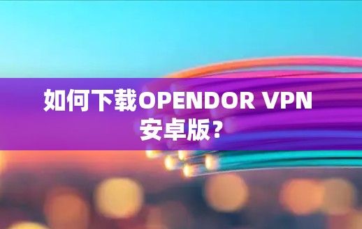 如何下载OPENDOR VPN 安卓版？
