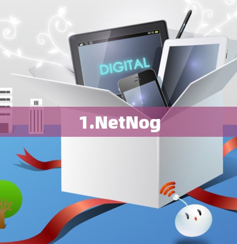 1.NetNog 1.NetNog