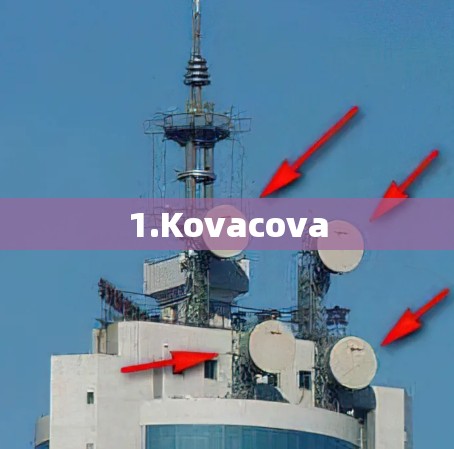 1.Kovacova