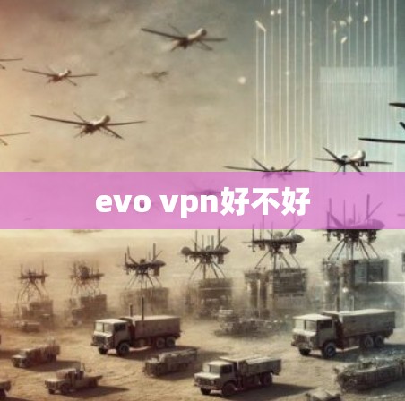 evo vpn好不好