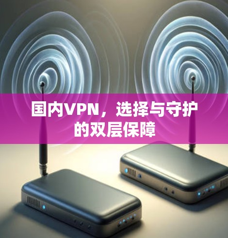 国内VPN，选择与守护的双层保障