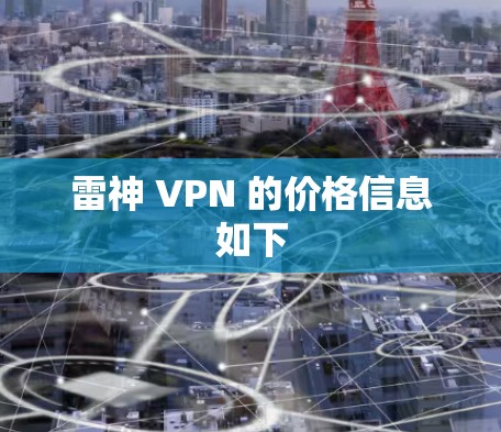 雷神 VPN 的价格信息如下