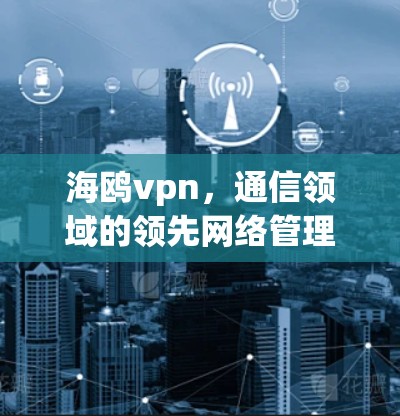 海鸥vpn，通信领域的领先网络管理解决方案