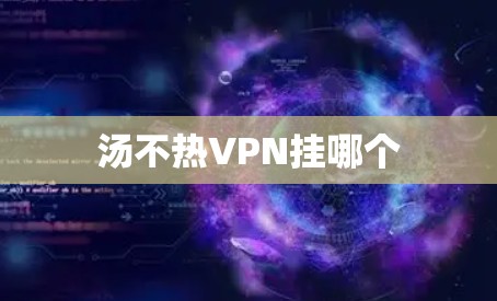 汤不热VPN挂哪个