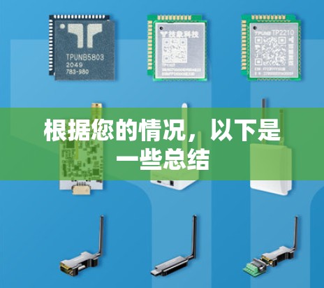 根据您的情况，以下是一些总结