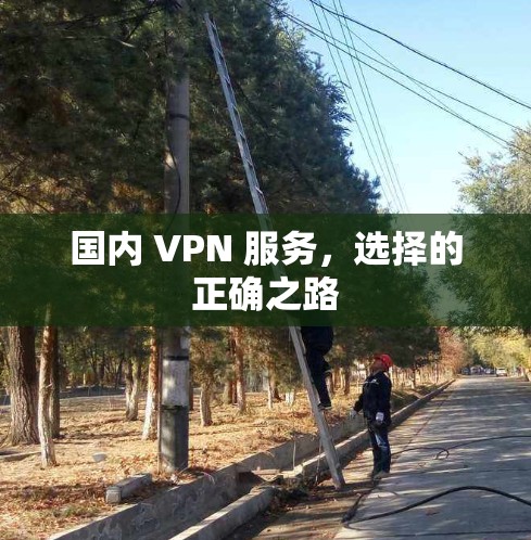 国内 VPN 服务，选择的正确之路
