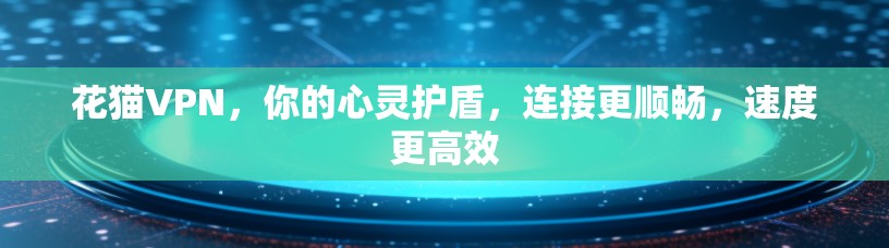 花猫VPN，你的心灵护盾，连接更顺畅，速度更高效