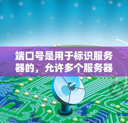 端口号是用于标识服务器的，允许多个服务器共享端口号，但每个服务器的端口号设置必须明确。以下是详细步骤