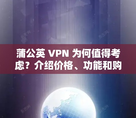 蒲公英 VPN 为何值得考虑？介绍价格、功能和购买建议）