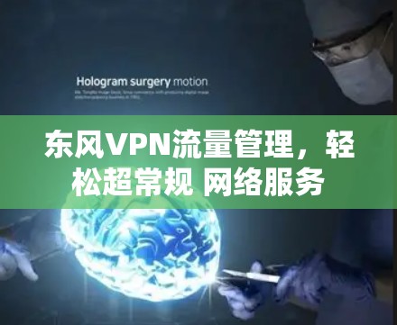 东风VPN流量管理，轻松超常规 网络服务