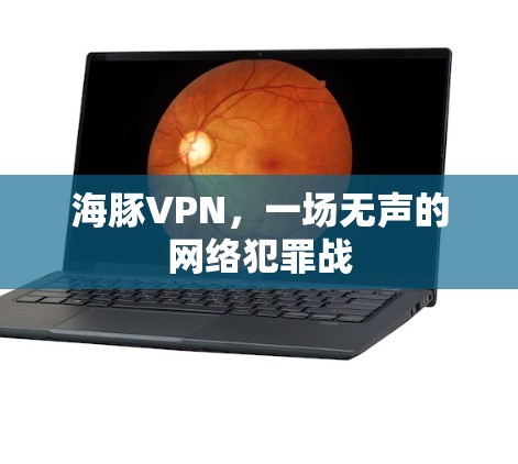 海豚VPN，一场无声的网络犯罪战