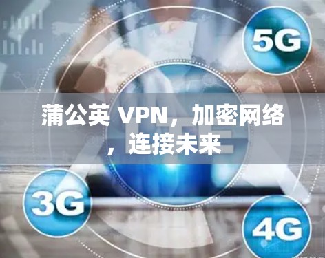 蒲公英 VPN，加密网络，连接未来