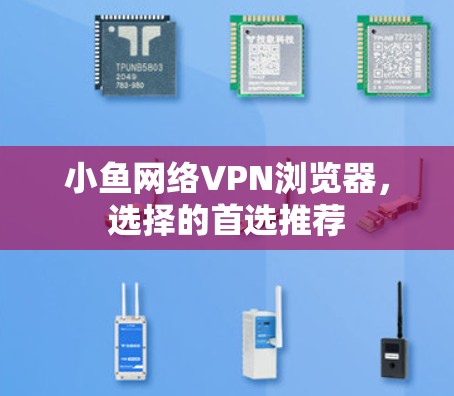 小鱼网络VPN浏览器，选择的首选推荐