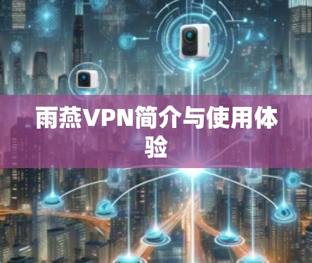 雨燕VPN简介与使用体验