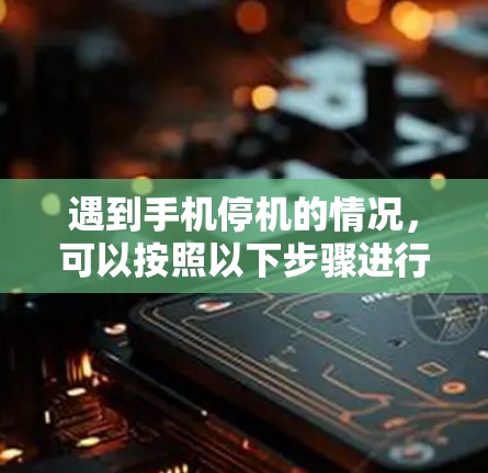 遇到手机停机的情况，可以按照以下步骤进行处理