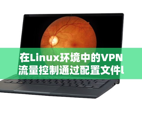 在Linux环境中的VPN流量控制通过配置文件lvod和ltd来实现。以下是详细的步骤和解释