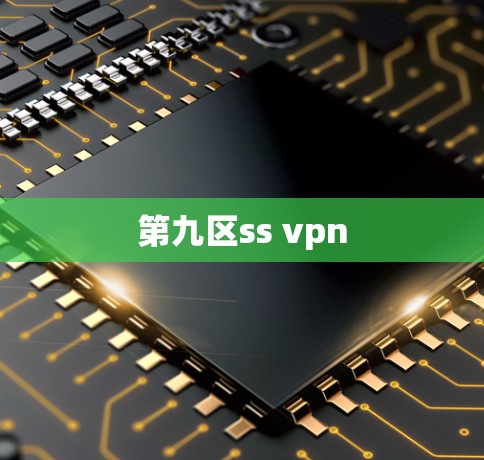 第九区ss vpn