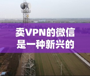 卖VPN的微信是一种新兴的营销方式，用户需谨慎对待。以下是逐步的建议