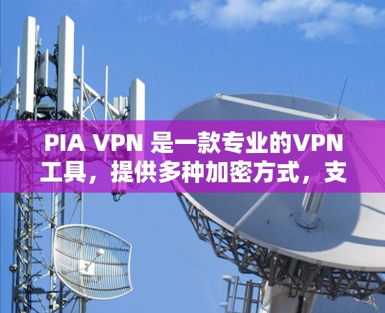 PIA VPN 是一款专业的VPN工具，提供多种加密方式，支持多端访问，包括iOS、Android和Mac，具有强大的安全性、多语言支持和隐私保护功能。以下是对 PIA VPN 的详细介绍