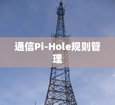 通信Pi-Hole规则管理