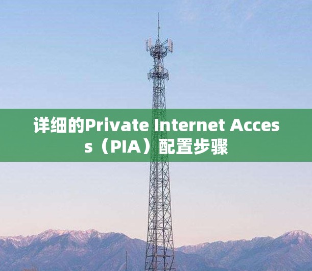 详细的Private Internet Access（PIA）配置步骤