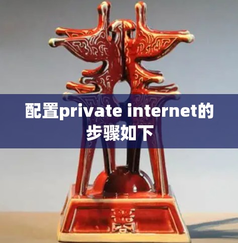 配置private internet的步骤如下