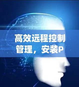 高效远程控制管理，安装Privoxy代理工具指南