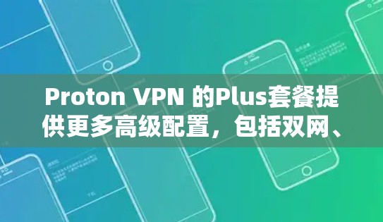 Proton VPN 的Plus套餐提供更多高级配置，包括双网、高速连接、复杂隐私设置和高级加密功能，适合那些希望全面控制网络环境的用户。以下是详细的评价和功能解析