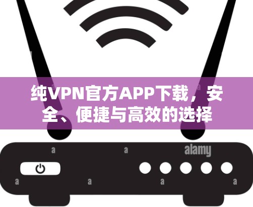 纯VPN官方APP下载，安全、便捷与高效的选择