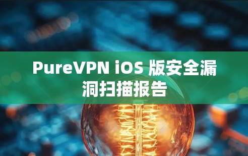 PureVPN iOS 版安全漏洞扫描报告