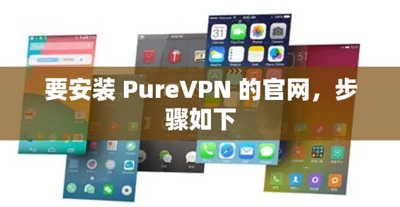 要安装 PureVPN 的官网，步骤如下