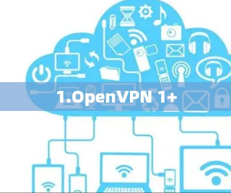 1.OpenVPN 1+