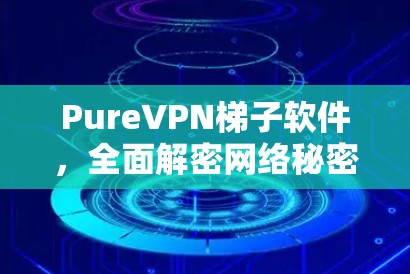PureVPN梯子软件，全面解密网络秘密