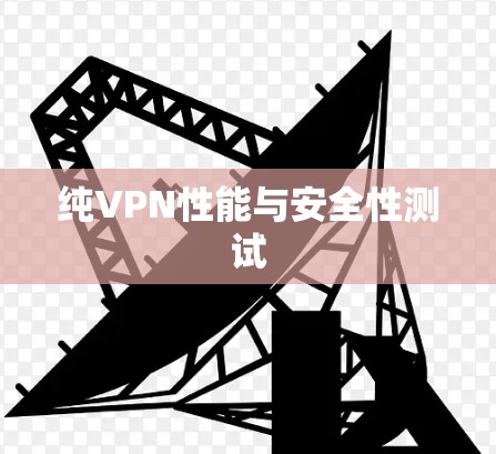 纯VPN性能与安全性测试