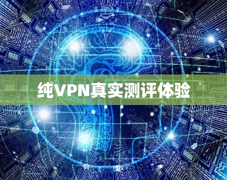 纯VPN真实测评体验