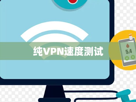 纯VPN速度测试