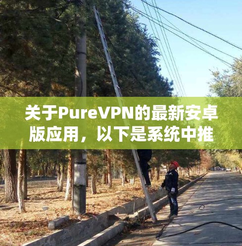 关于PureVPN的最新安卓版应用，以下是系统中推荐的选项