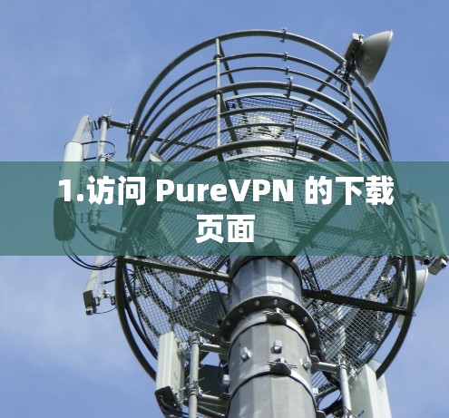1.访问 PureVPN 的下载页面